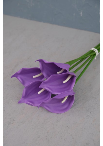 Mor 5’li Gala Demet fırsatları