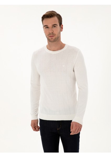 Erkek Ekru Slim Fit Pamuk Karışımlı Bisiklet Yaka Triko Kazak 50318868-VR019