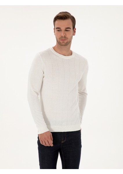 Erkek Ekru Slim Fit Pamuk Karışımlı Bisiklet Yaka Triko Kazak 50318868-VR019 modelleri