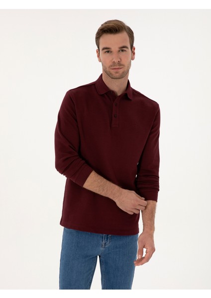 Erkek Bordo Regular Fit %100 Pamuk 3 İplik Polo Yaka Sweatshirt 50318960-VR014 modelleri