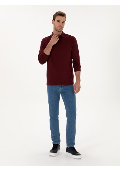 Erkek Bordo Regular Fit %100 Pamuk 3 İplik Polo Yaka Sweatshirt 50318960-VR014 fırsatları