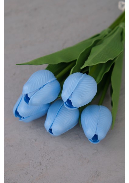 Bebe Mavi 5’li Lale Demet