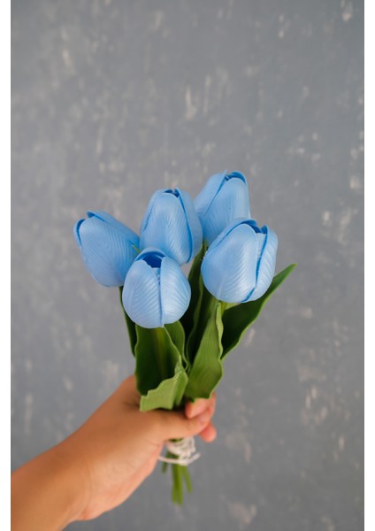 Bebe Mavi 5’li Lale Demet fiyatları