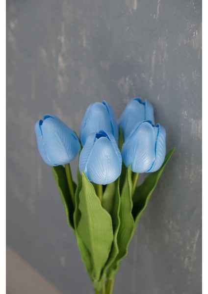 Bebe Mavi 5’li Lale Demet modelleri