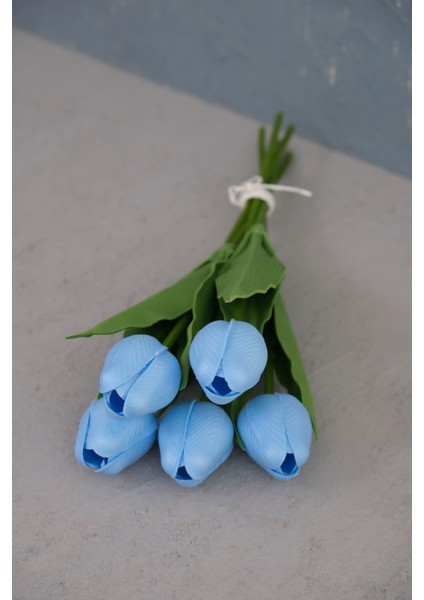 Bebe Mavi 5’li Lale Demet fırsatları