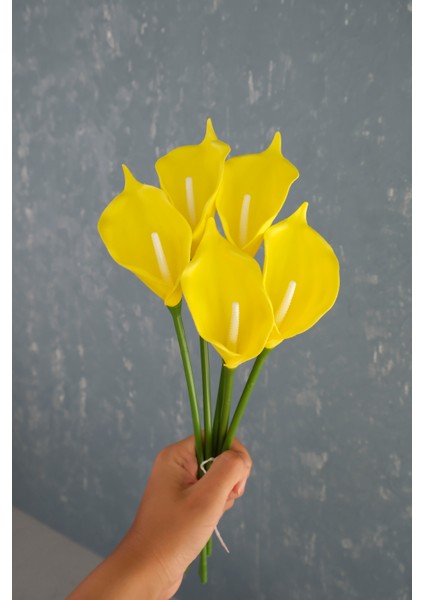 Sarı 5’li Gala Demet