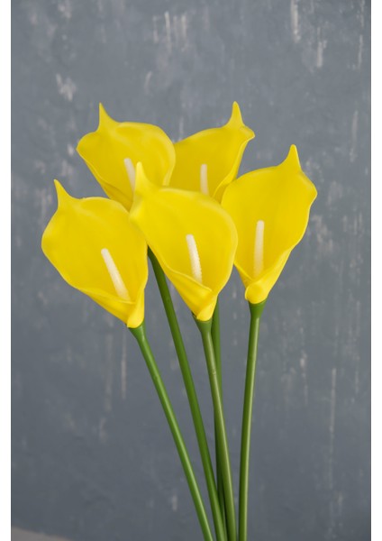 Sarı 5’li Gala Demet fiyatları