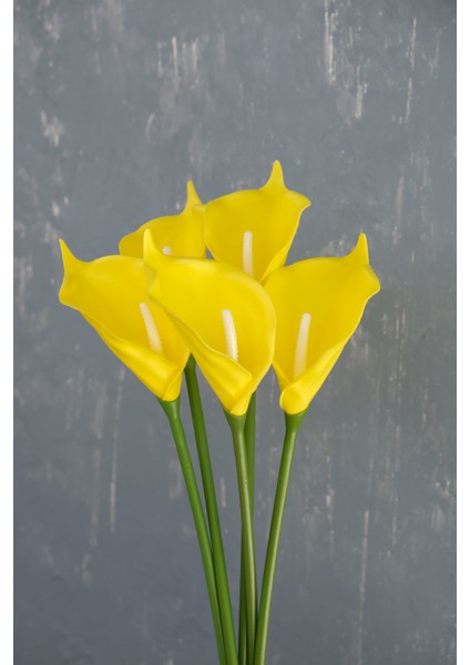 Sarı 5’li Gala Demet fırsatları