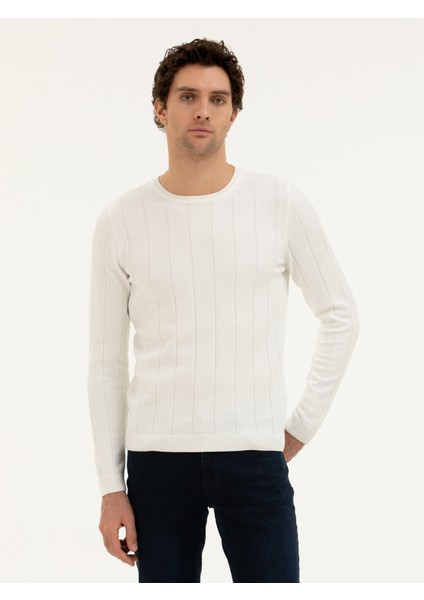 Erkek Ekru Regular Fit Kazak 50279607-VR019