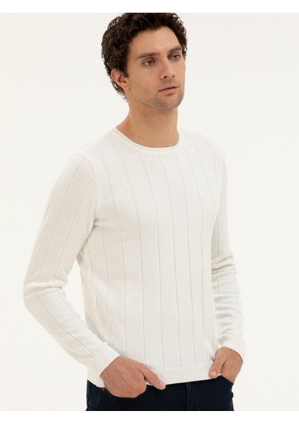 Erkek Ekru Regular Fit Kazak 50279607-VR019 modelleri