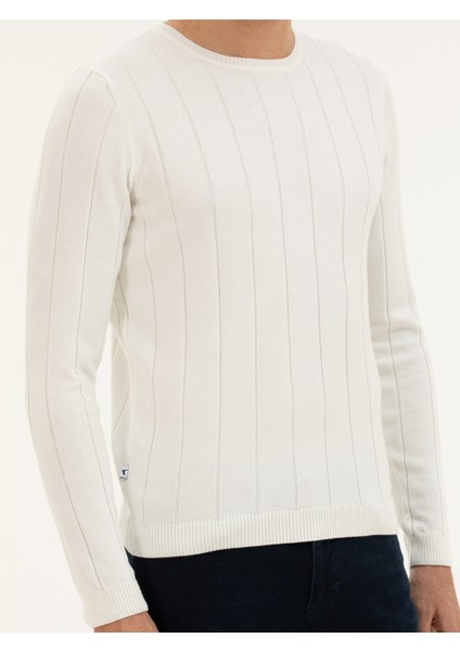 Erkek Ekru Regular Fit Kazak 50279607-VR019