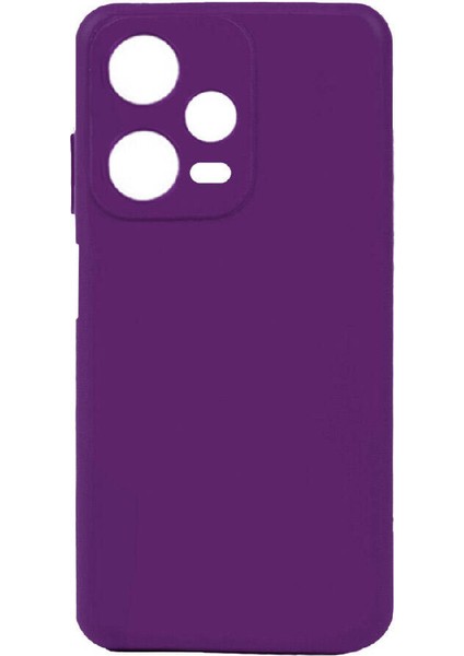 Xiaomi Redmi Note 12 Pro 5g Kılıf Omsy Biye Silikon-Mor