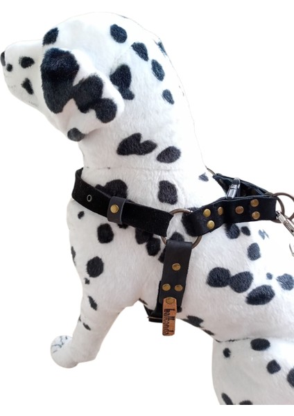 Köpek Göğüs Tasması Orta Irk Siyah Süet Deri Göğüs ÖLÇÜSÜ:50-85CM Ayarlamalı Dog Gt1-39 fiyatları