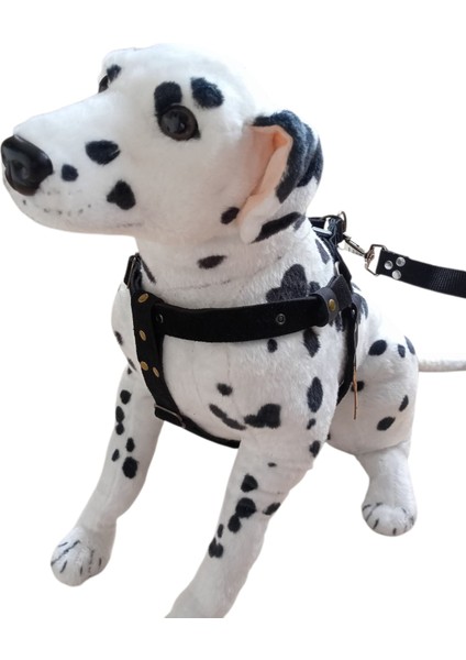 Köpek Göğüs Tasması Orta Irk Siyah Süet Deri Göğüs ÖLÇÜSÜ:50-85CM Ayarlamalı Dog Gt1-39 indirimleri