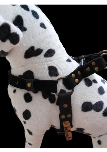 Köpek Göğüs Tasması Orta Irk Siyah Süet Deri Göğüs ÖLÇÜSÜ:50-85CM Ayarlamalı Dog Gt1-39