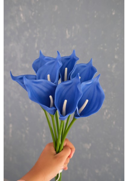 Lacivert 8’li Gala Demet