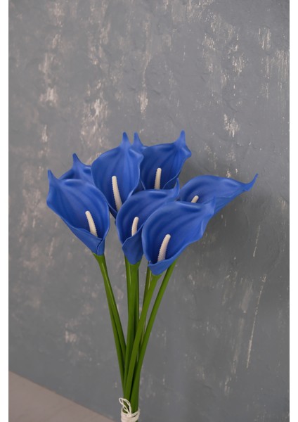 Lacivert 8’li Gala Demet fiyatları