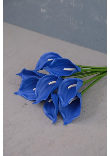 Lacivert 8’li Gala Demet fırsatları