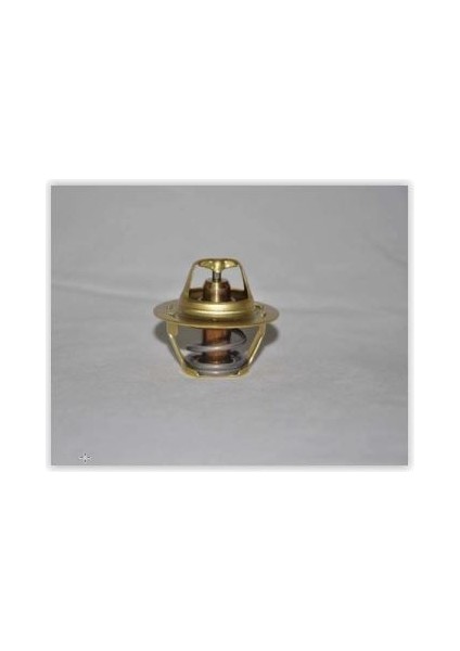 860001 - Termostat 89 C Megane I-II-R19-CLIO Iı-Kangoo-Laguna I-Iı 1.4 -1.6-1.8- 1.9 D- 2.0