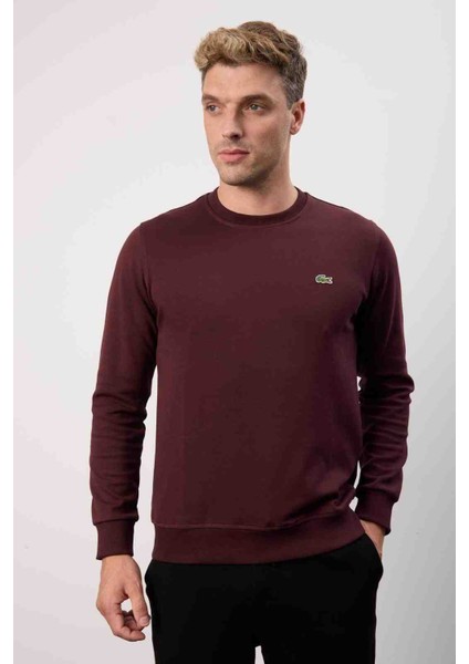 Basıc Regular Fit Bordo Bisiklet Yaka