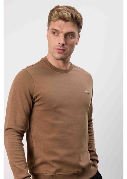 Bisiklet Yaka Kahverengi Regular Fit Uzun Kol fiyatları