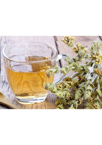 Organik Taze Dökme Adaçayı 250 gr fiyatları