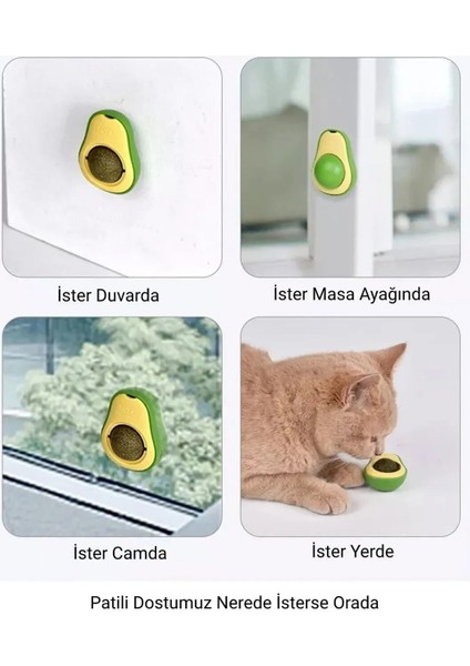 Avokado Kedi Nanesi Oyun Topu