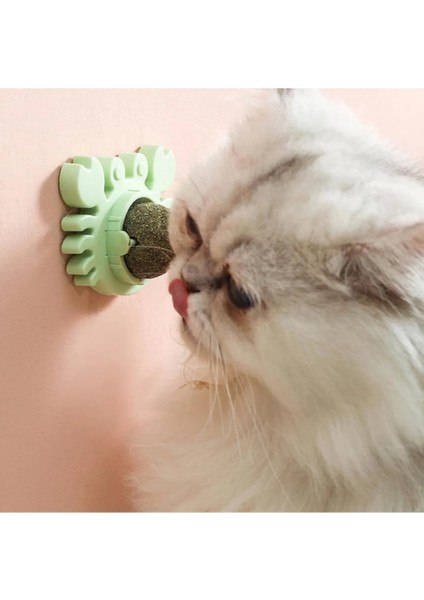 Yengeç Kedi Otu Oyun Topu fiyatları