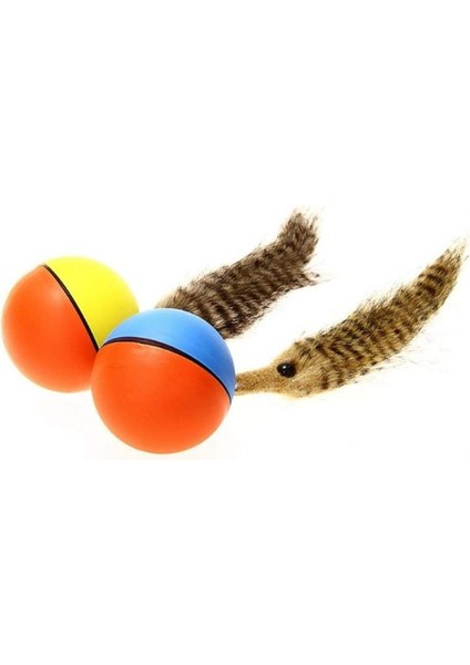 Hareketli Rakun Kedi Köpek Oyuncak fiyatları