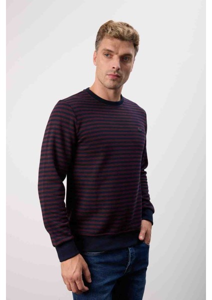 Çizgili Bisiklet Yaka Bordo Regular Fit fiyatları