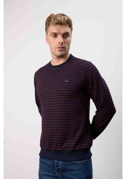 Çizgili Bisiklet Yaka Bordo Regular Fit modelleri