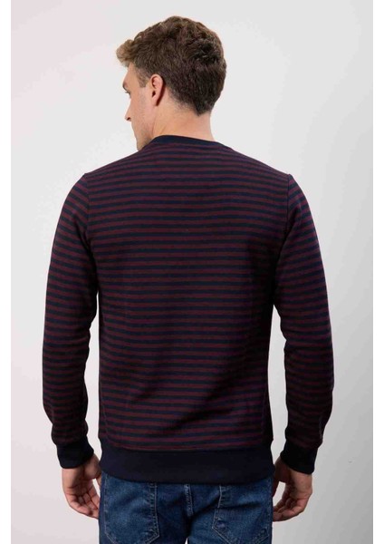 Çizgili Bisiklet Yaka Bordo Regular Fit fırsatları