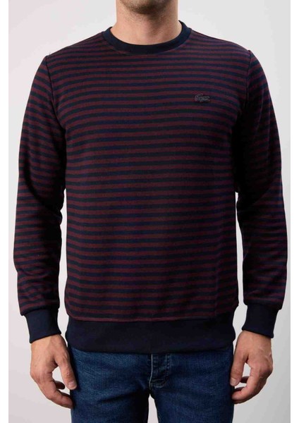 Çizgili Bisiklet Yaka Bordo Regular Fit indirimleri