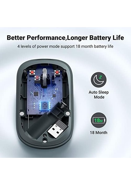 Kablosuz Fare, 2,4 Ghz USB Bağlantısı, Maks. 4000 Dpi, 18 Ay Pil Ömrü. Pc, Mac, Dizüstü Bilgisayar, Windows 11, 10, 8.1, 7, Macos, Linux ile Uyumlu (Yeşil) modelleri