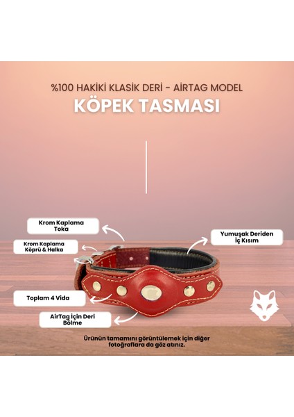 Canini Collar Hakiki Klasik Deri Airtag Uyumlu Köpek Tasması – Dayanıklı, Konforlu ve Şık Tasarım, Airtag Bölmeli Gerçek Deriden Köpekler Için Tasma fiyatları