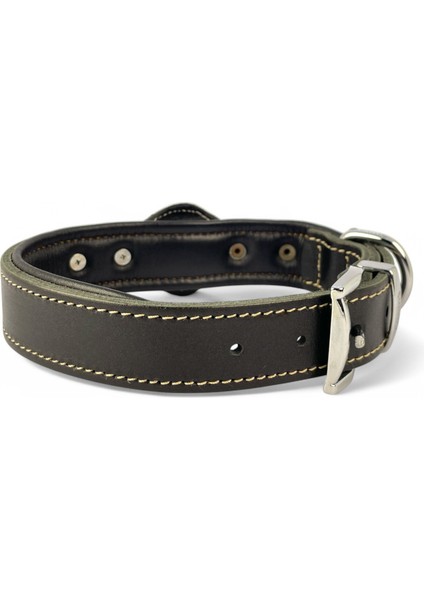 Canini Collar Hakiki Klasik Deri Airtag Uyumlu Köpek Tasması – Dayanıklı, Konforlu ve Şık Tasarım, Airtag Bölmeli Gerçek Deriden Köpekler Için Tasma