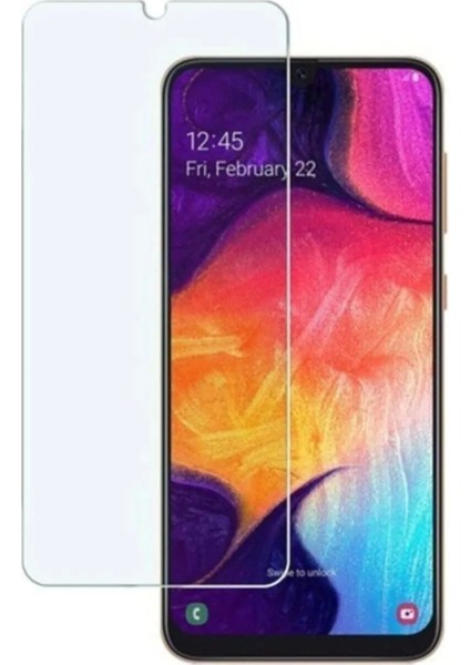 Samsung Galaxy A20 Uyumlu Premium Ekran Koruyucu 9h Sert Temperli Kırılmaz Cam Koruma Şeffaf