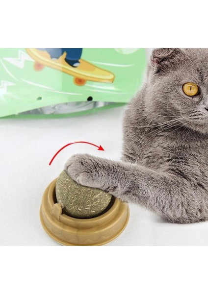 Kedi Otu Oyun Topu fiyatları