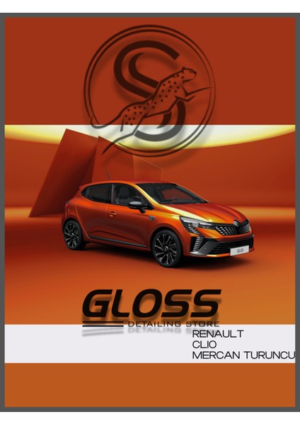 Renault Clio Uyumlu Mercan Turuncu Eqb - Profesyonel Rötuş Boyası Çift Şişe 20ML/20ML.