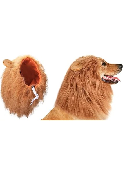 Köpek Peruk Lion fiyatları