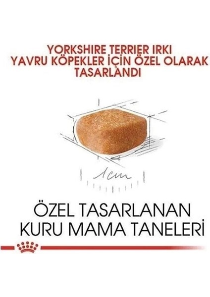 Royal Canin Yorkshire Terrier Junior Yavru Köpek Maması 1.5 kg indirimleri