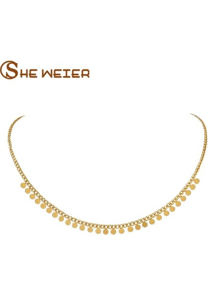 Zarif Metal Daire Model Zincir Kolye ile Şıklığınızı Tamamlayın fiyatları