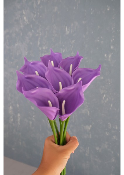 Mor 8’li Gala Demet