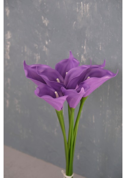 Mor 8’li Gala Demet fiyatları