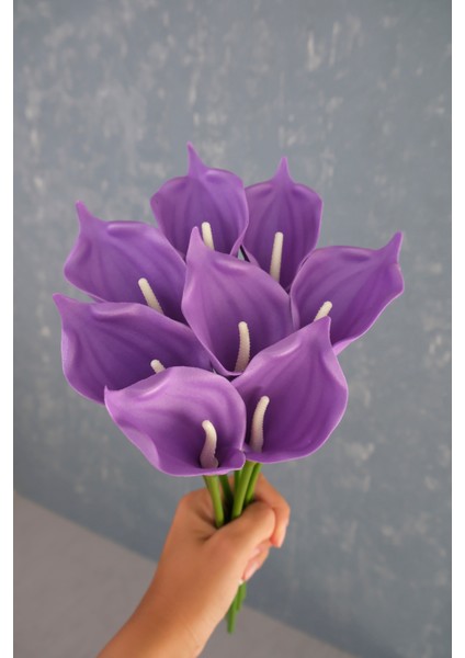 Mor 8’li Gala Demet fırsatları