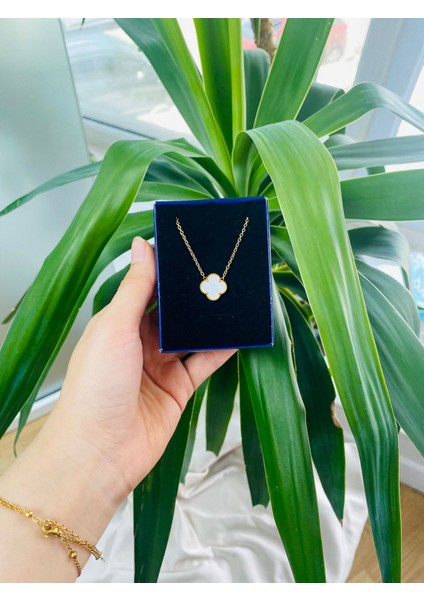 Beyaz Yonca Paslanmaz Çelik Kadın Kolye