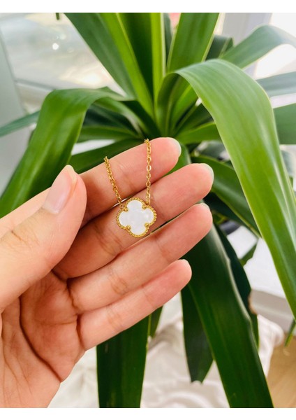 Beyaz Yonca Paslanmaz Çelik Kadın Kolye fiyatları