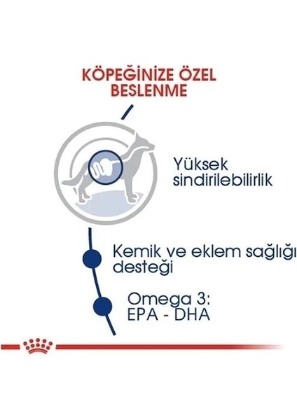 Royal Canin Maxi Adult Büyük Irk Yetişkin Köpek Maması 15 kg fırsatları