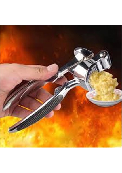 Lüks Metal Sarımsak Zencefil Ezici
