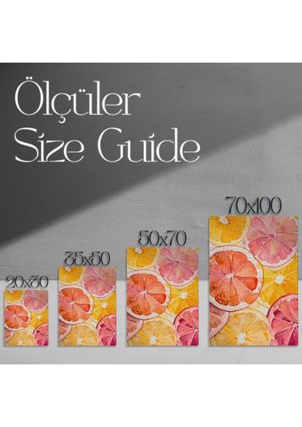 Suluboya Narenciye Dilimleri Soyut Sanat Tablosu modelleri